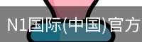 N1国际